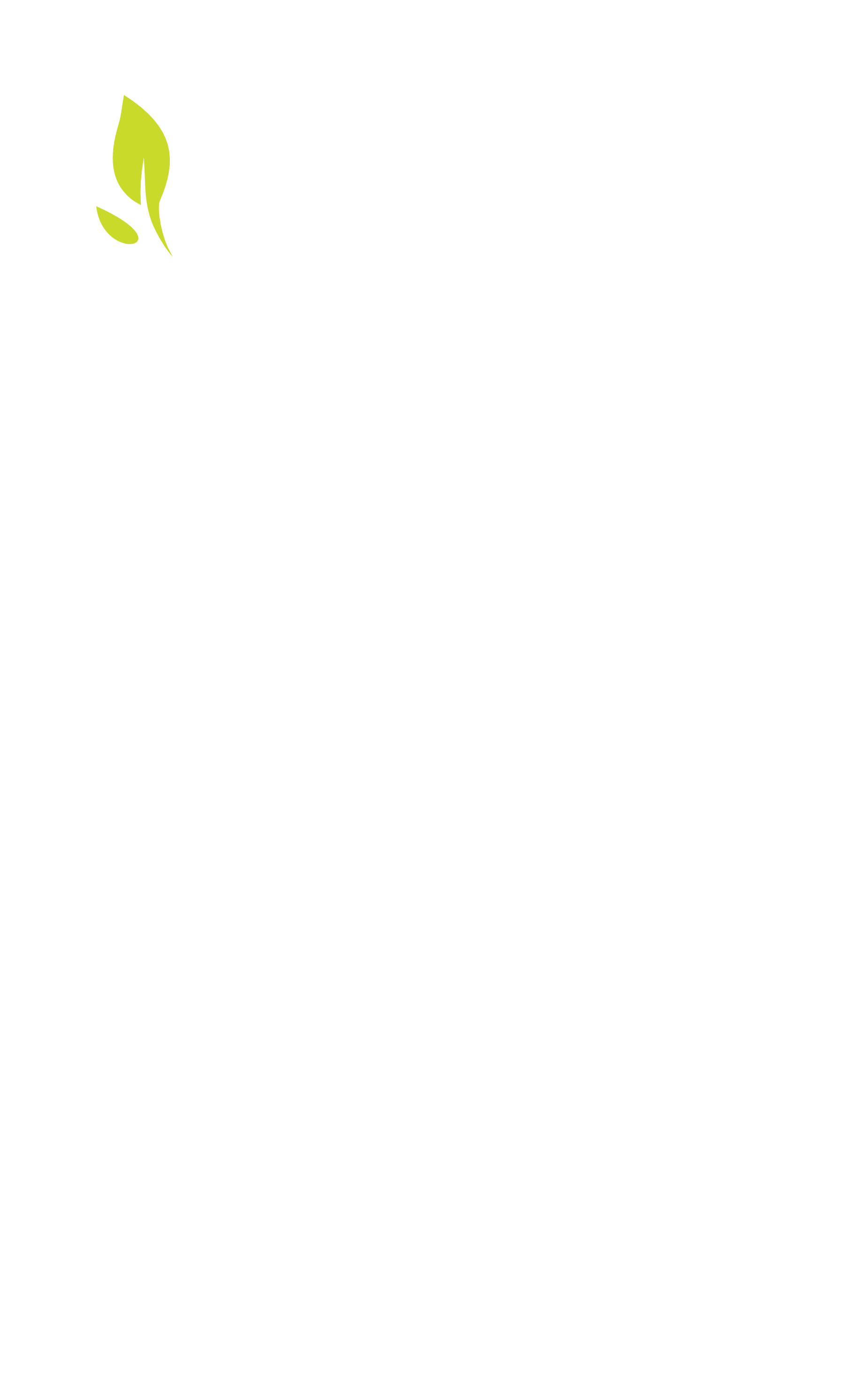 spine-segment