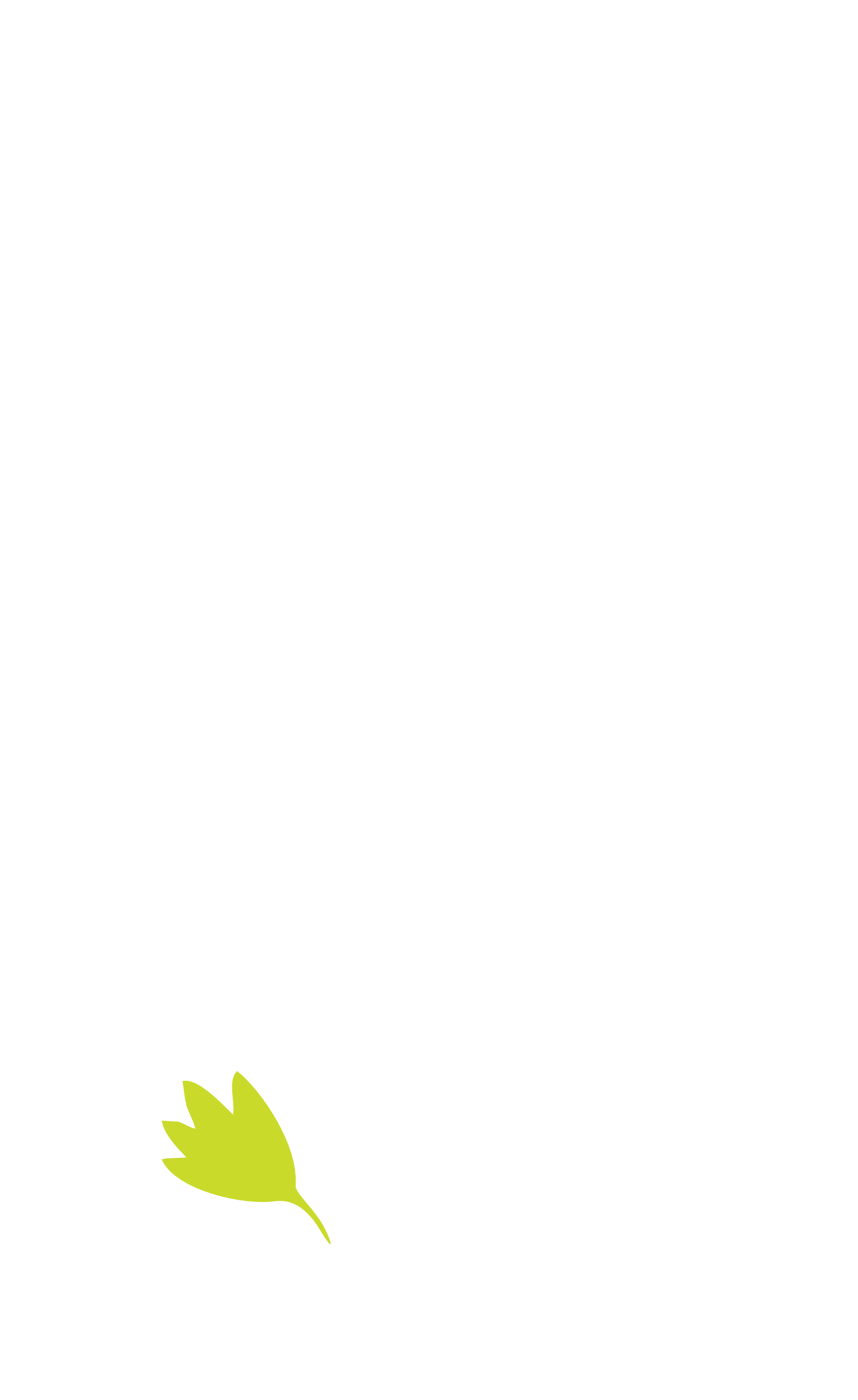 spine-segment